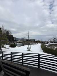 Kyoto 🇯🇵: Temples, Culture, Historical and Timeless