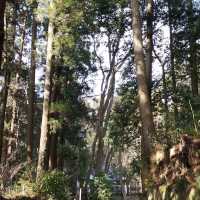 Zuihoden Mausoleum (瑞鳳殿)