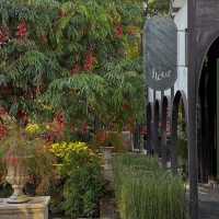 Fleur Cafe & Eatery • Mae Rim, Chiang Mai