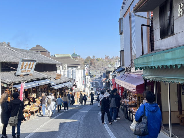 One day trip จุดท่องเที่ยวแถวนาริตะ 