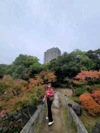 如果你熱愛日式庭園造景，相信我白鳥庭園🎋你會喜歡👍👍👍
