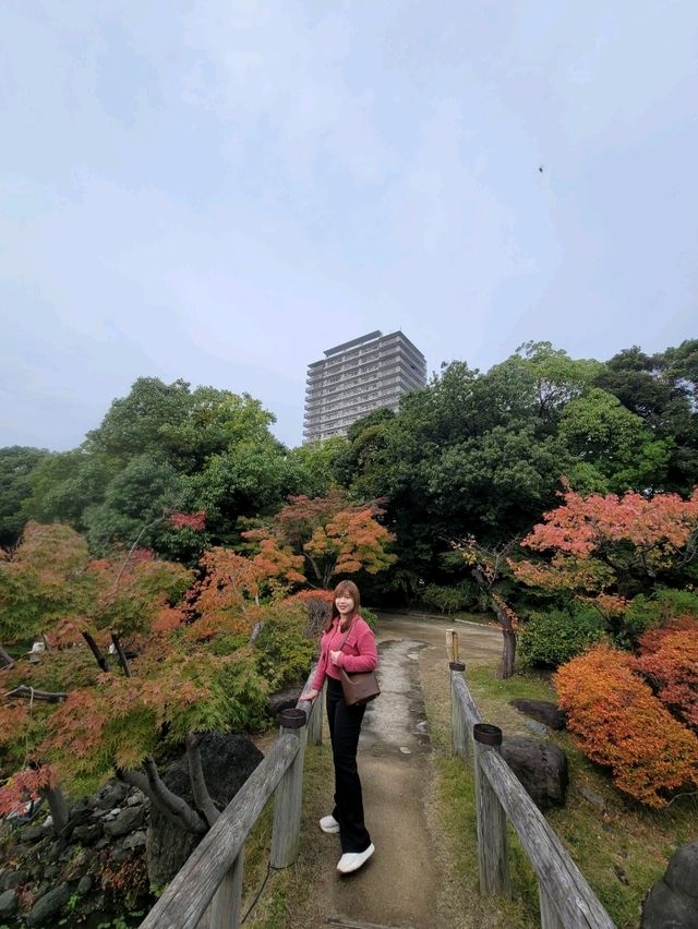 如果你熱愛日式庭園造景，相信我白鳥庭園🎋你會喜歡👍👍👍