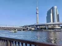 城市與河流的低語