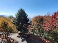 大雪山國家公園賞楓