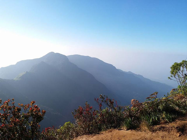 斯里蘭卡🇱🇰霍頓平原國家公園