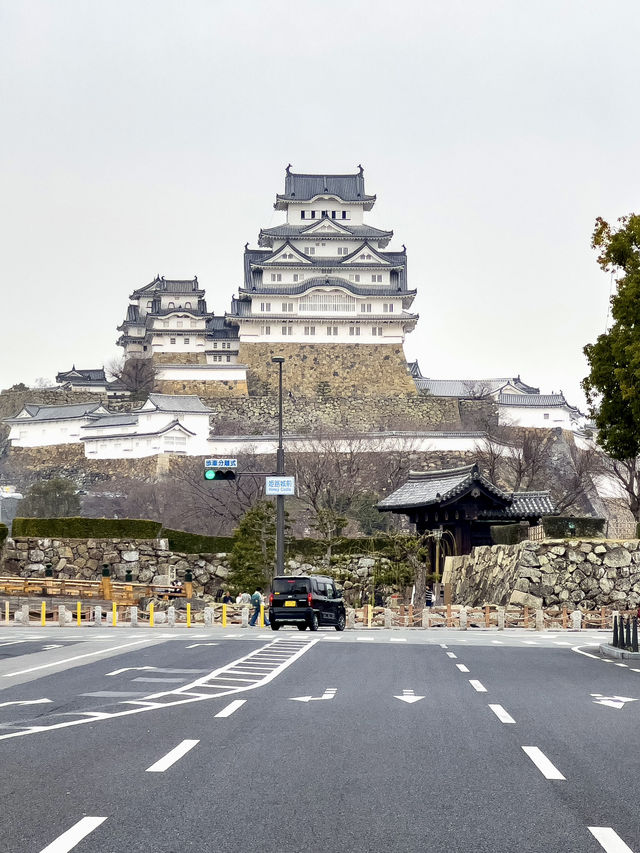 【兵庫／姫路】国宝、姫路城！