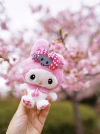 人不多，交通方便的大阪賞櫻公園🌸