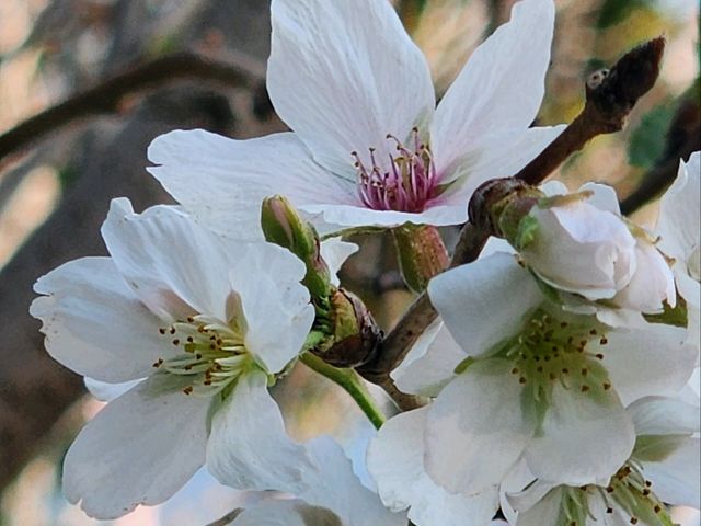 享受自然 . 大埔海濱公園