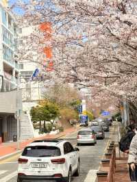 釜山｜迎月路粉色浪漫散步道 臥牛山的浪漫故事