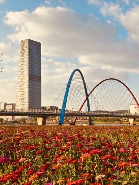 Spring Breeze: A Daytime Stroll Across Expo Bridge