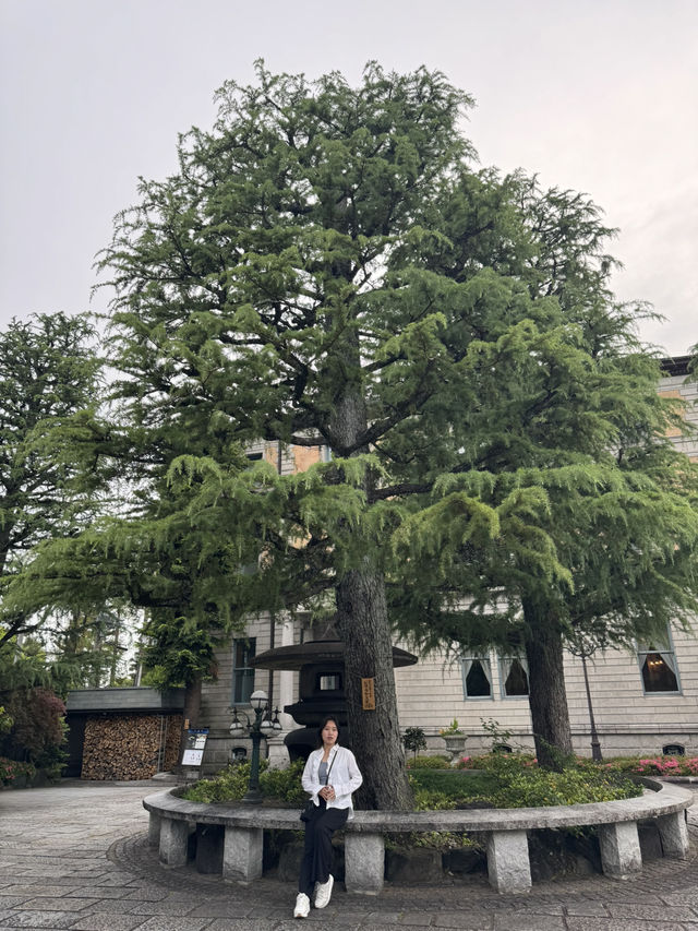 🍰 교토에서 즐기는 고급 프랑스 디저트 카페 “Dessert Cafe Chourakukan”