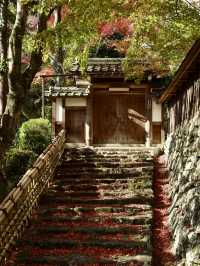 滋賀縣賞楓葉小眾地方