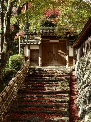 Hidden Spots for Autumn Leaves in Shiga Prefecture