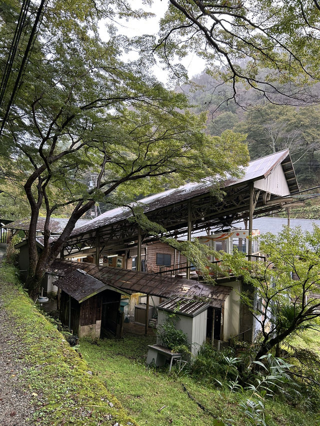 【奈良】世界遺産・吉野へ