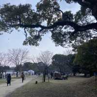 大濠公園（Ohori Park）