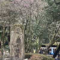 高千穂峡 (Takachiho Gorge, Miyazaki) – 神話が息づく幻想的な渓谷