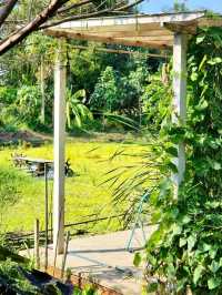 หลง ณ 𝚌𝚘𝚏𝚏𝚎𝚎 𝚋𝚛𝚎𝚊𝚔 🌿☕