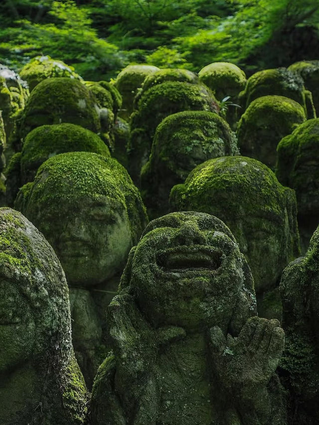 🍃 日本・京都【愛宕念仏寺】| 千体羅漢の不思議な世界