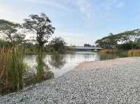 Wandering Through Stillness: A Solo Day at the Chinese and Japanese Gardens in Singapore