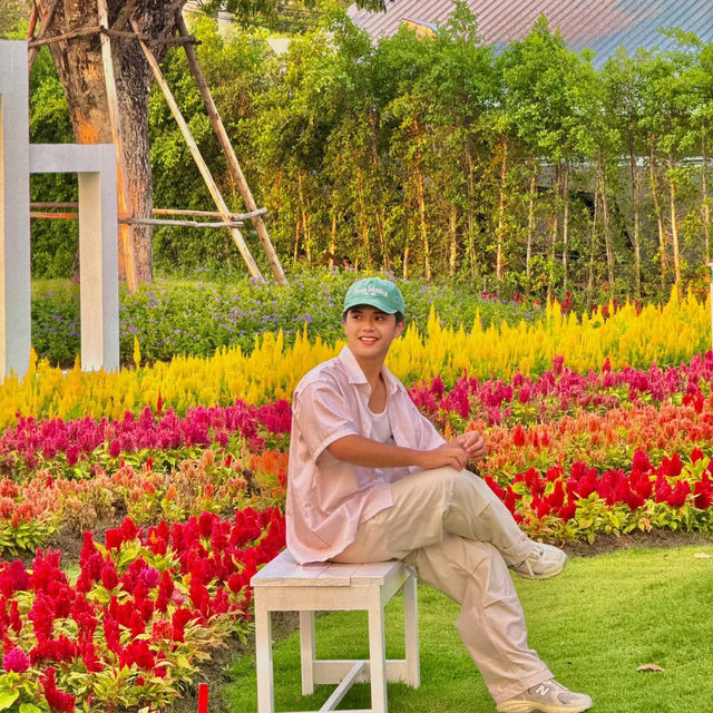 คาเฟ่สวนดอกไม้ มู้ดดีต่อใจสุดๆ 🤍🌸🌷