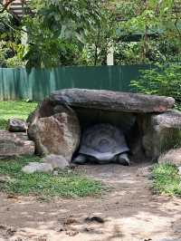 Roars, Paws & Jungle Laws – A Day at Zoo Negara