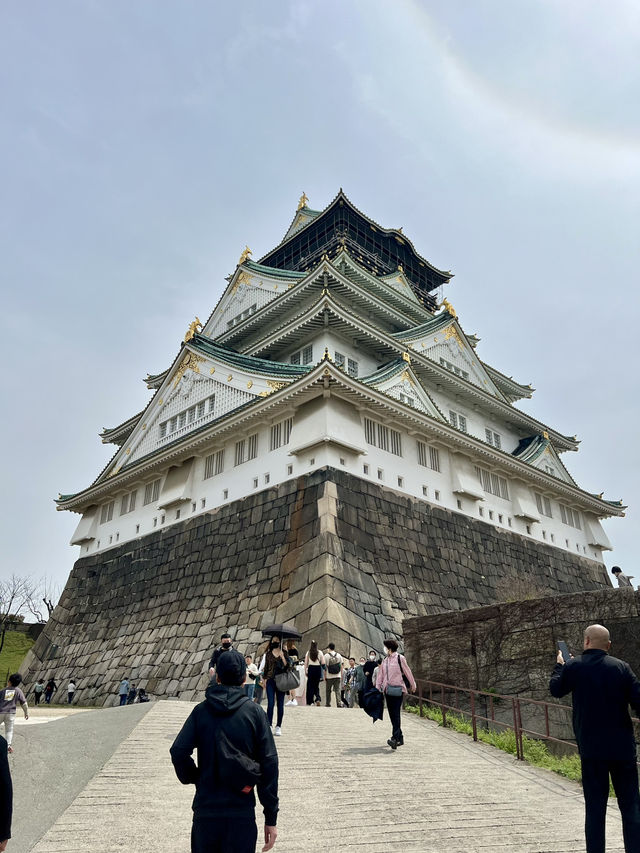 Cherry Blossoms in Full Bloom at Osaka Castle Park🌸