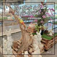 💐✨️The Flask Cafe by Air Orchids🍂🌸