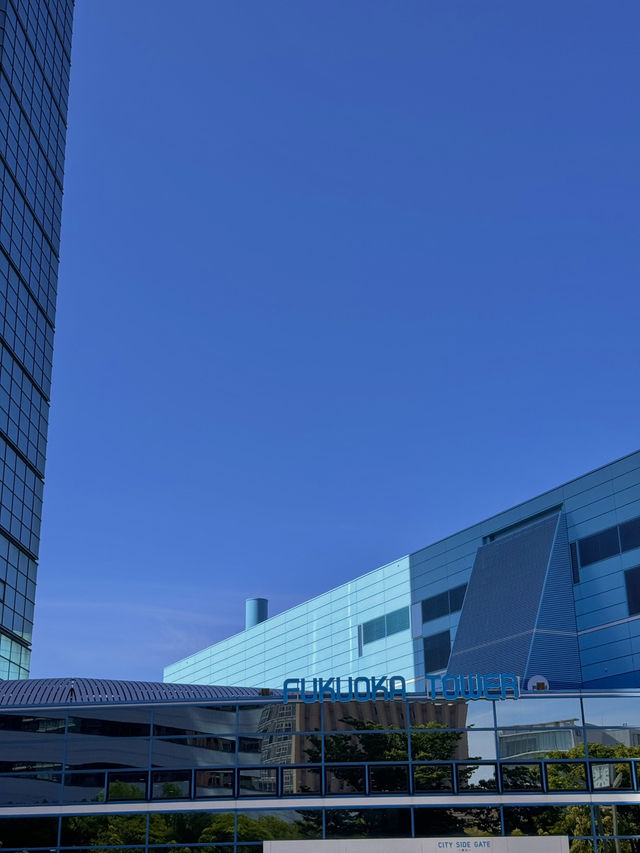 🌟 후쿠오카 관광 명소 추천, 놓칠 수 없는 핫플! 