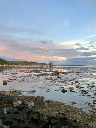 Fiji coral coast 