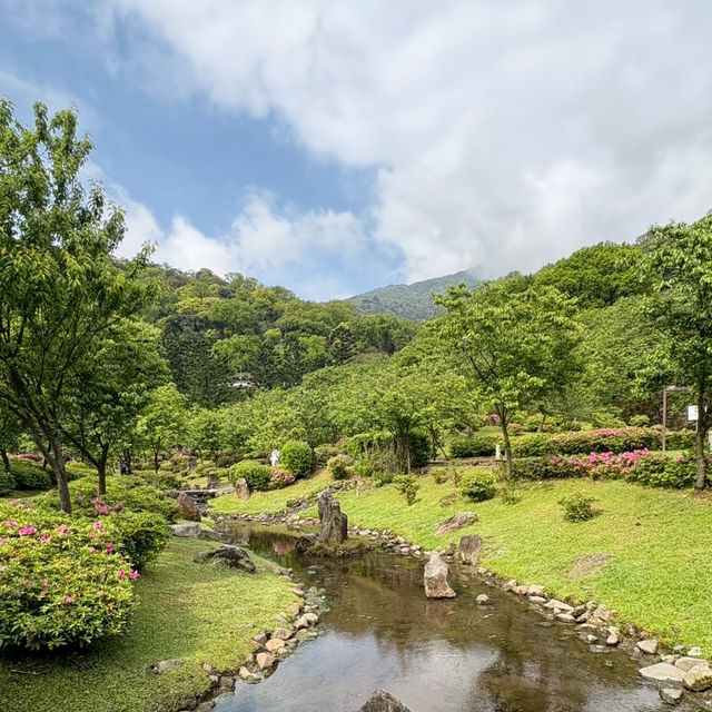 【陽明山国家公園｜花時計】静けさと彩りに包まれた午後 