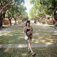 Steps of Serenity: Walking Through Tunghai University and Luce Chapel