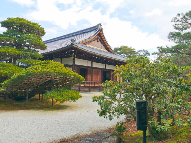 🇯🇵간사이 여행 교토 가볼만한 곳, 금각사(킨카쿠지)🇯🇵