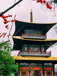中國上海著名景點：廣富林文化遺址，適合打卡拍照📸