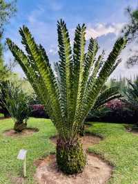 Taman Saujana Hijau: Sustainable Green Sanctuary