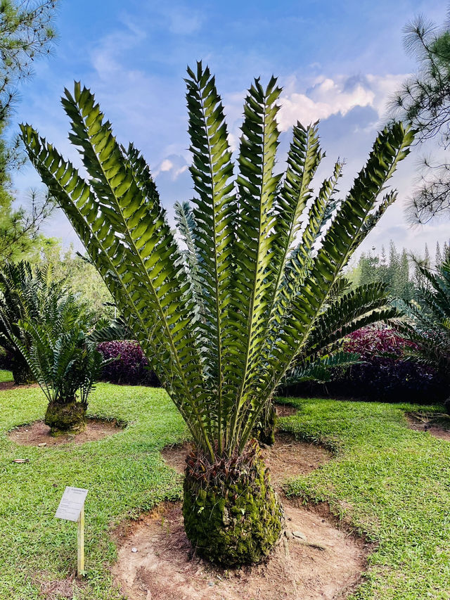 Taman Saujana Hijau: Sustainable Green Sanctuary