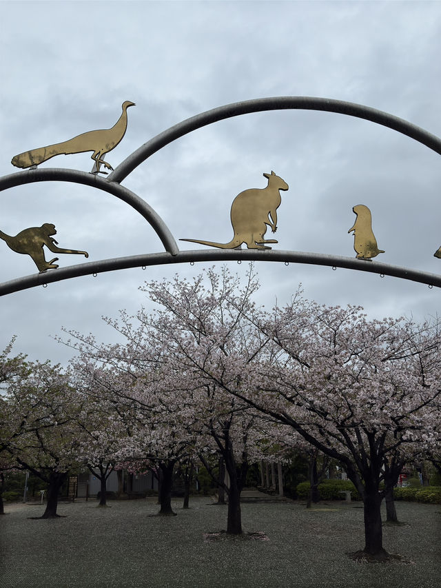 東京景點｜江戶川區自然動物園