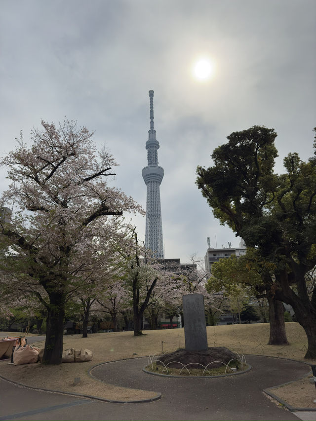 東京景點｜隅田公園 