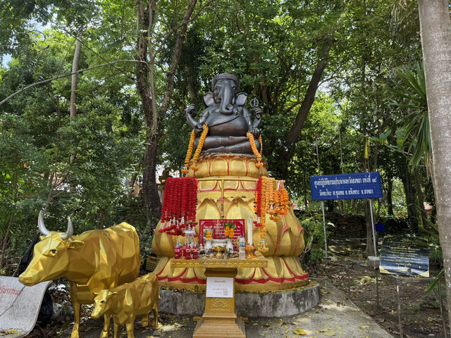 วัดพะโคะ
