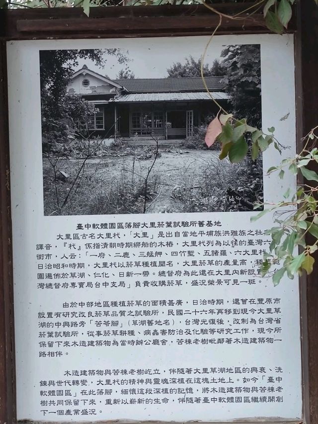 #Dali Art藝術廣場-臺中市大里區