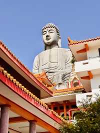 🙏✨ 探索千佛山菩提寺：靈性之旅的心靈聖地！