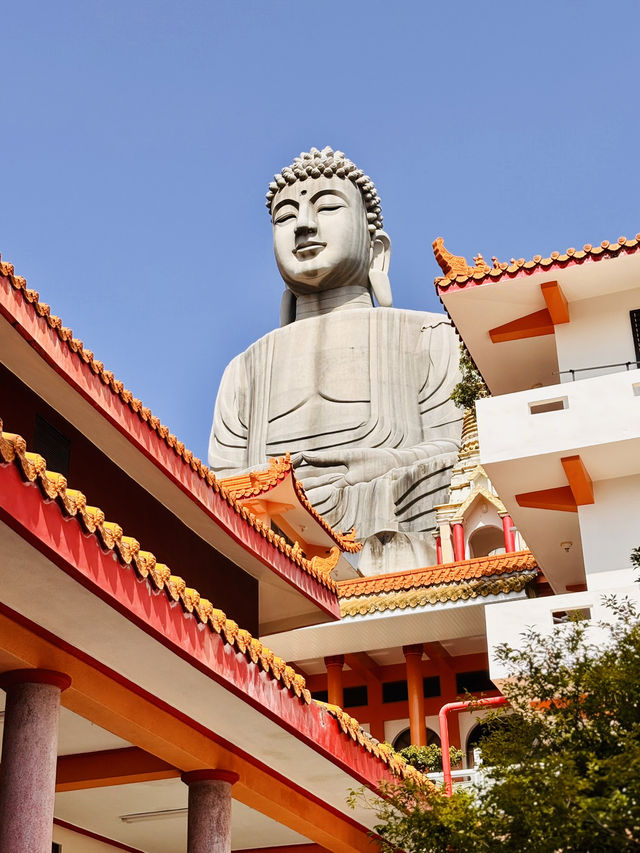 🙏✨ 探索千佛山菩提寺：靈性之旅的心靈聖地！
