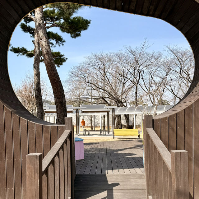【ソウル】知ってる？韓国国内線は機内にペットOK✈️