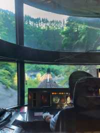  由布院之森座位攻略🚞🌳 列車長視覺看日落🌄 神級景觀位！