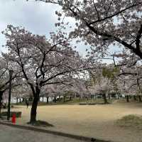Kema Sakuranomiya Park, Osaka
