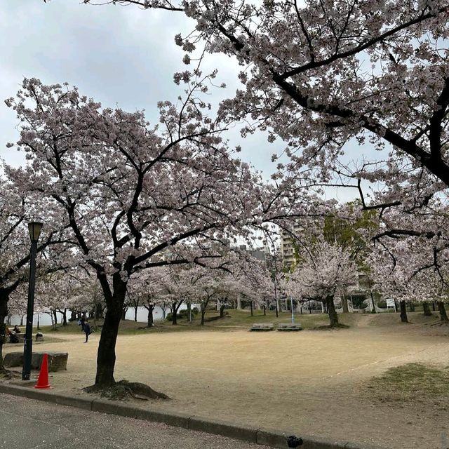 Kema Sakuranomiya Park, Osaka