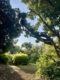 Spring Walks at Yumenoshima Green Road Park