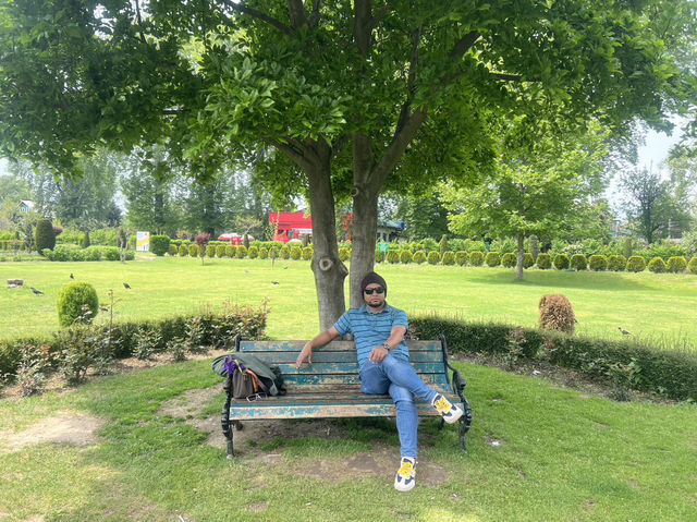 Everyone Must Visit Kashmir at least once in a life time