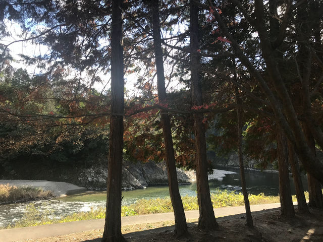 虎渓山町の桜と永保寺（岐阜県多治見市）