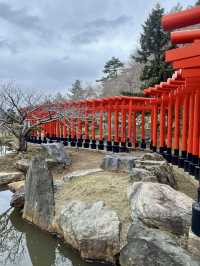 Foxes, Forests & a Thousand Gates — My Takayama Inari Shrine Stroll