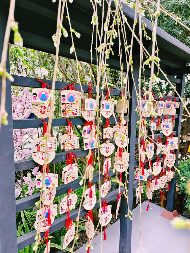 A Blossoming Experience at Gardens by the Bay